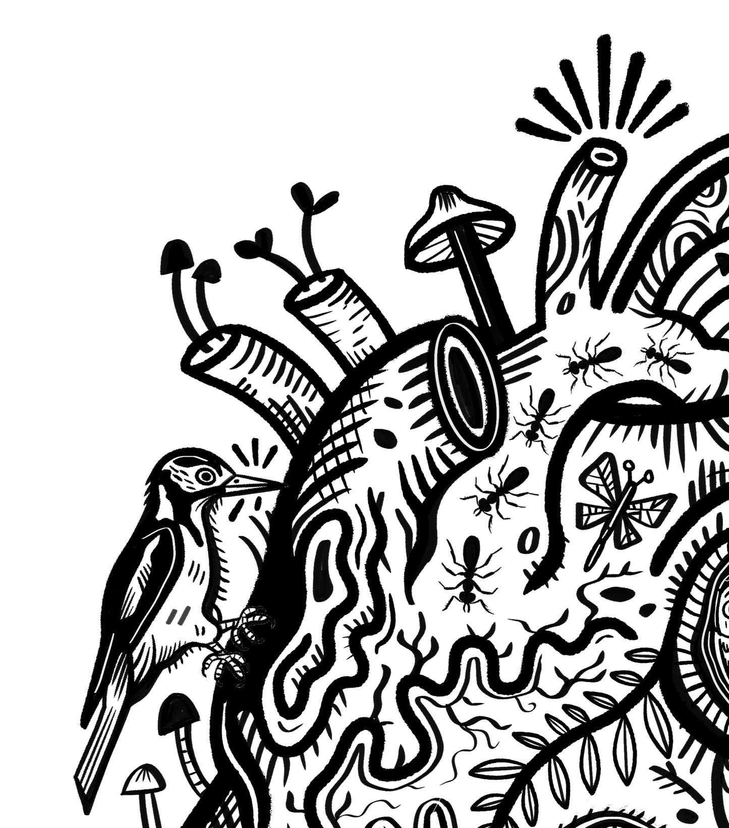 Heart A3 print