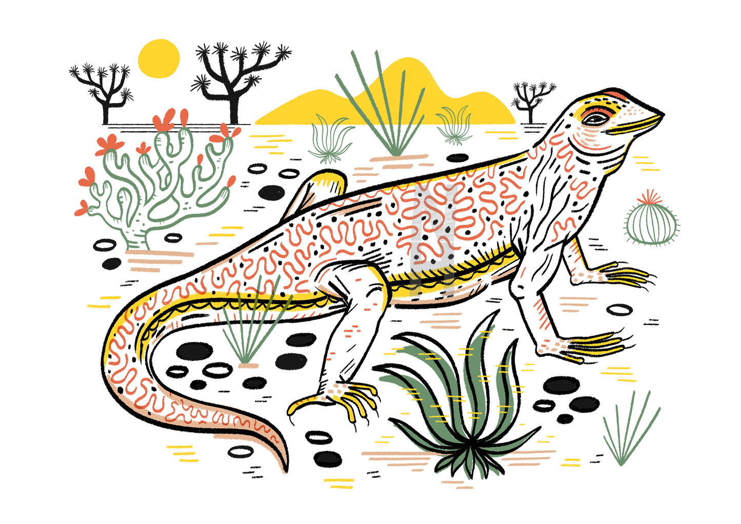 Fringe-toed lizard print
